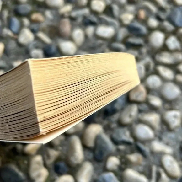 Vintage 80s When the Wind Blows by John Saul Horror Pulp Paperback Dell 1981 - Picture 7 of 7